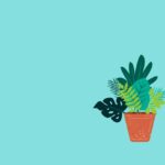 Làm chậu cây đung đưa bằng CSS