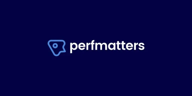 Perfmatters: Plugin Tối Ưu Hóa Hiệu Suất WordPress Đáng Thử