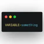 Cách tạo và sử dụng environment variables trong WordPress